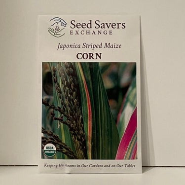 Japonica Striped Maize Organic Heirloom Open-Pollinated Corn